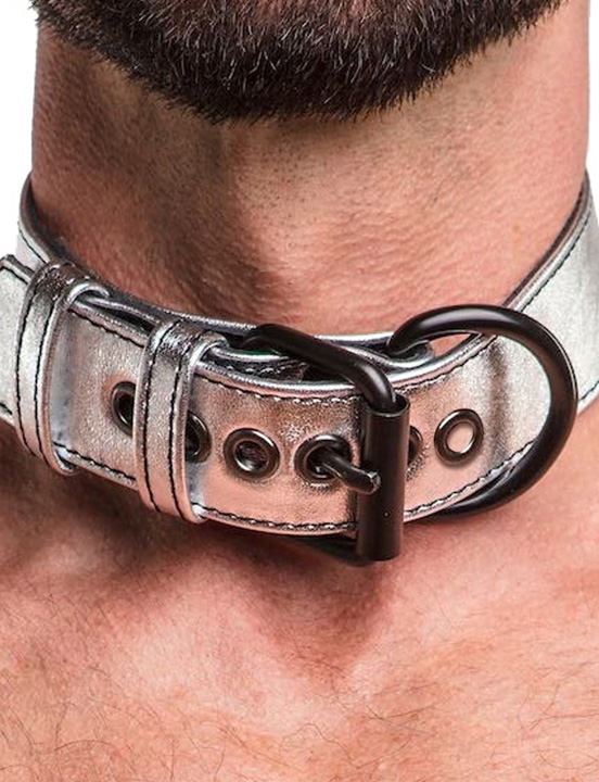 картинка Ошейник с цепью Metallic Pup Collar, серебристый от магазина ErosMania