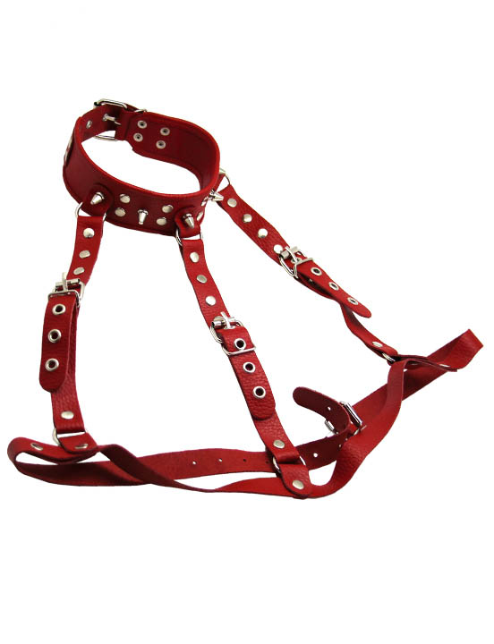 картинка Ошейник-сбруя, красный от магазина ErosMania