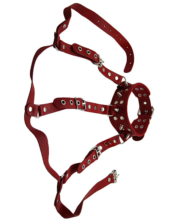 картинка Ошейник-сбруя, красный от магазина ErosMania