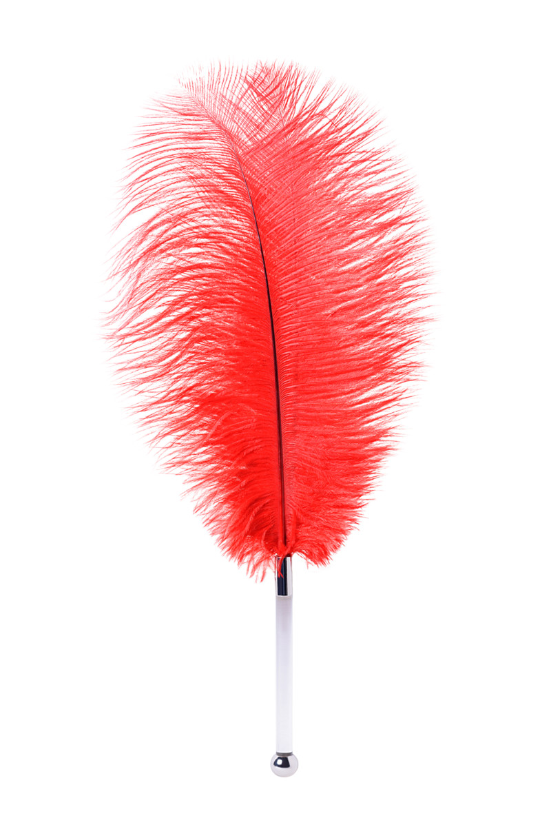 картинка Перо TOYFA Theatre, страусиное, красный, 40 см от магазина ErosMania