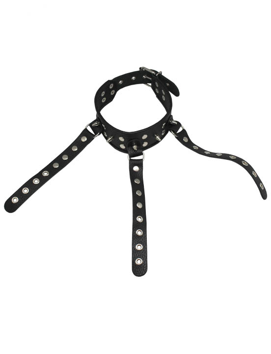 картинка Ошейник-сбруя, чёрный от магазина ErosMania