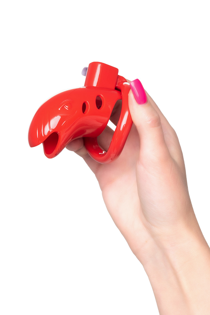 картинка Пояс верности мужской Black&Red by TOYFA, ABS пластик, красный, 10 см от магазина ErosMania