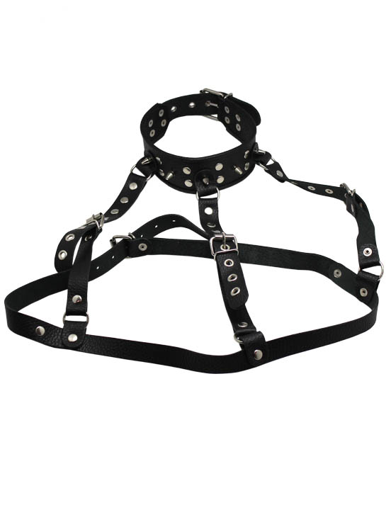картинка Ошейник-сбруя, чёрный от магазина ErosMania