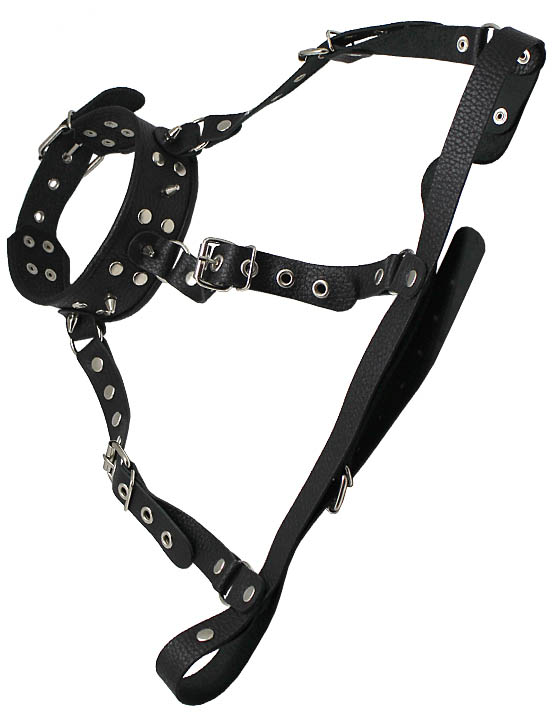 картинка Ошейник-сбруя, чёрный от магазина ErosMania