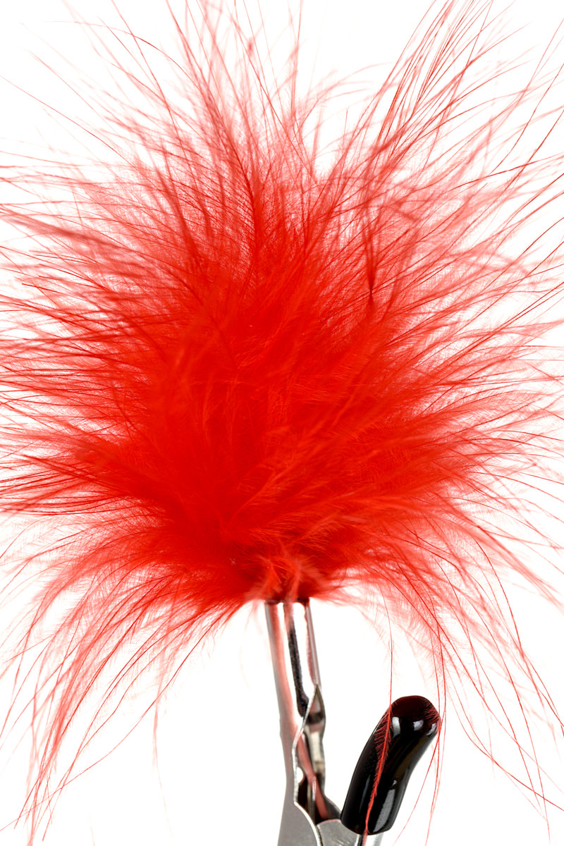 картинка Зажимы для сосков TOYFA Theatre, металл, красный от магазина ErosMania